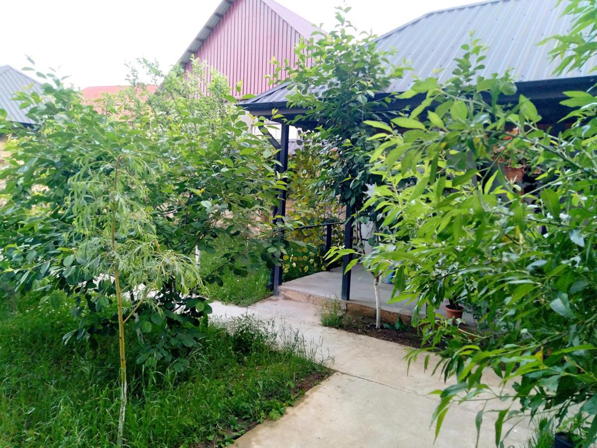 Dom Semya Deluxe Gusar Qusar Exterior foto